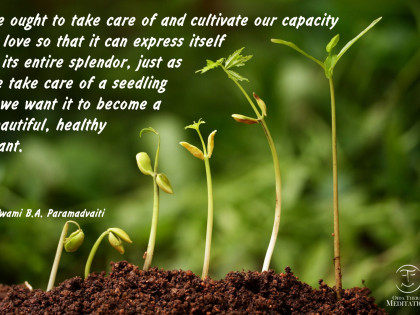Тake care of and cultivate our capacity to love
