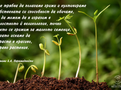 Трябва да култивираме способността си да обичаме…