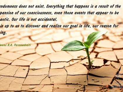 Randomness does not exist.