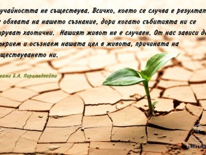 Случайността не съществува.
