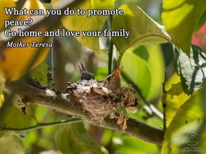 What can you do to promote peace?