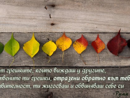 Грешките, които виждаш у другите, са собствените ти грешки.