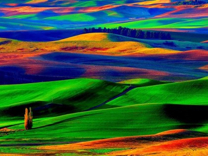 Ателие Inner Landscapers 16 – 17.04.15